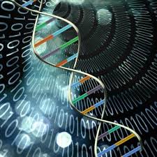 DNA computing